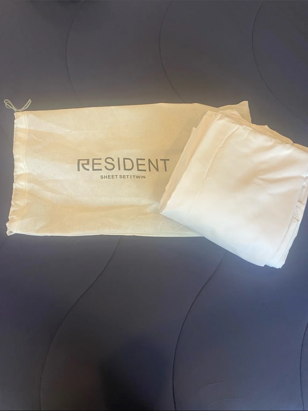 New! Twin Bamboo Sheet Set in White by Resident includes bag